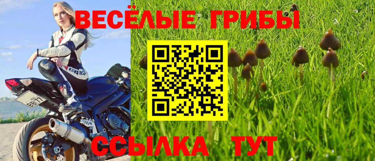 Менделеевск  Галлюциногенные грибы Psilocybe  Галлюциногенные грибы MAGIC MUSHROOMS  Вход с VPN 