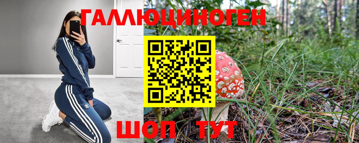 Галлюциногенные грибы MAGIC MUSHROOMS Менделеевск